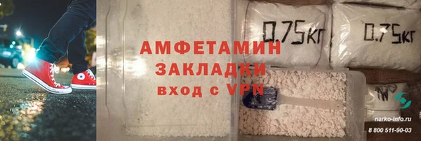 индика Балабаново