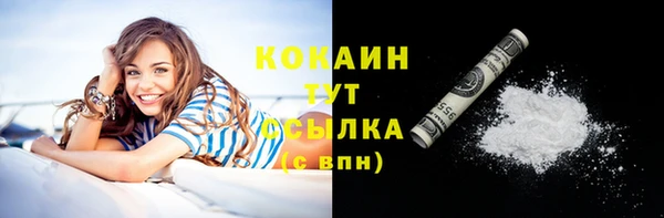 индика Балабаново