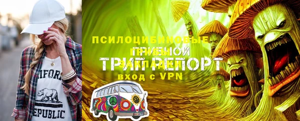 индика Балабаново